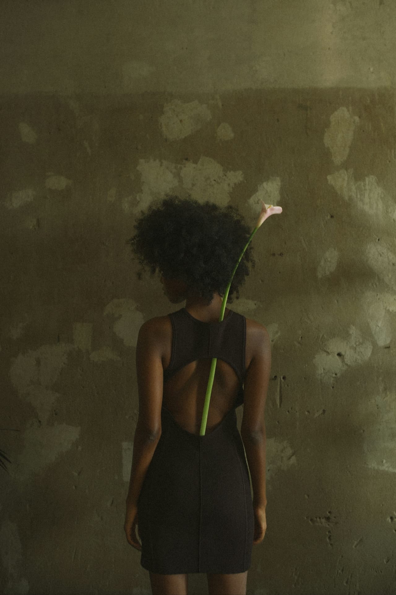 Art & Creative Direction