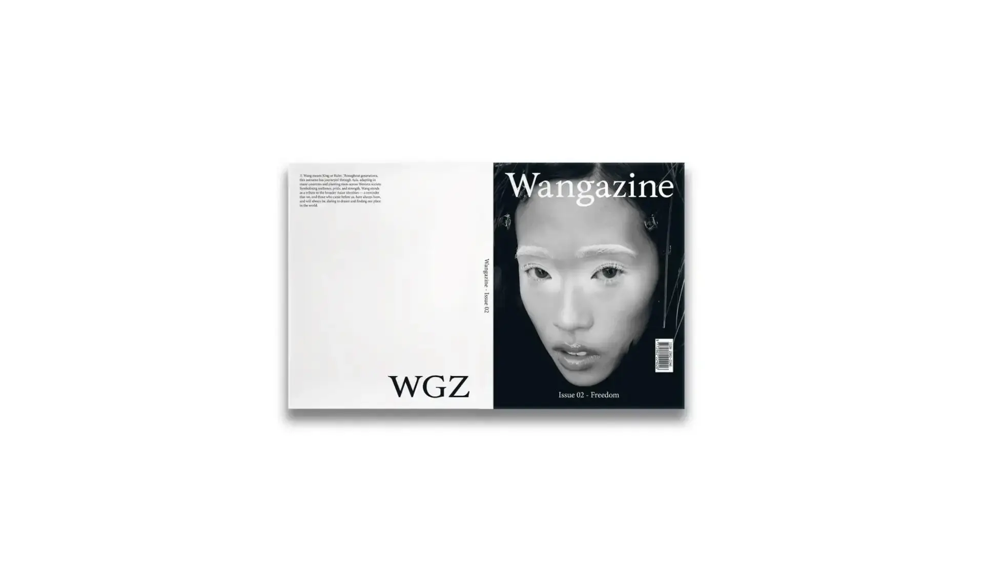 Creative portfolio